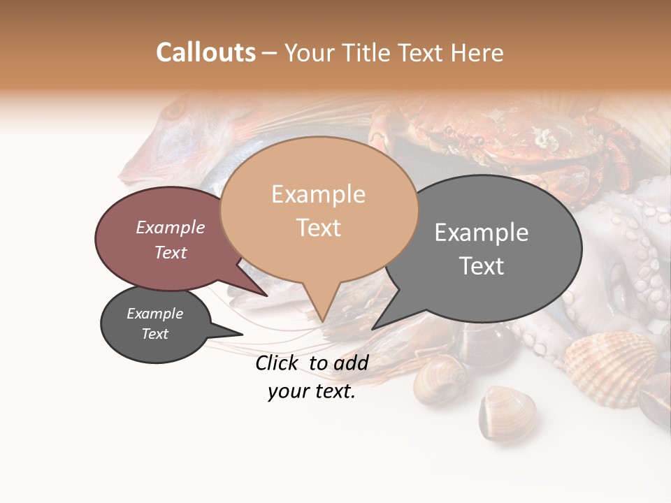Market Moronidae Shell PowerPoint Template