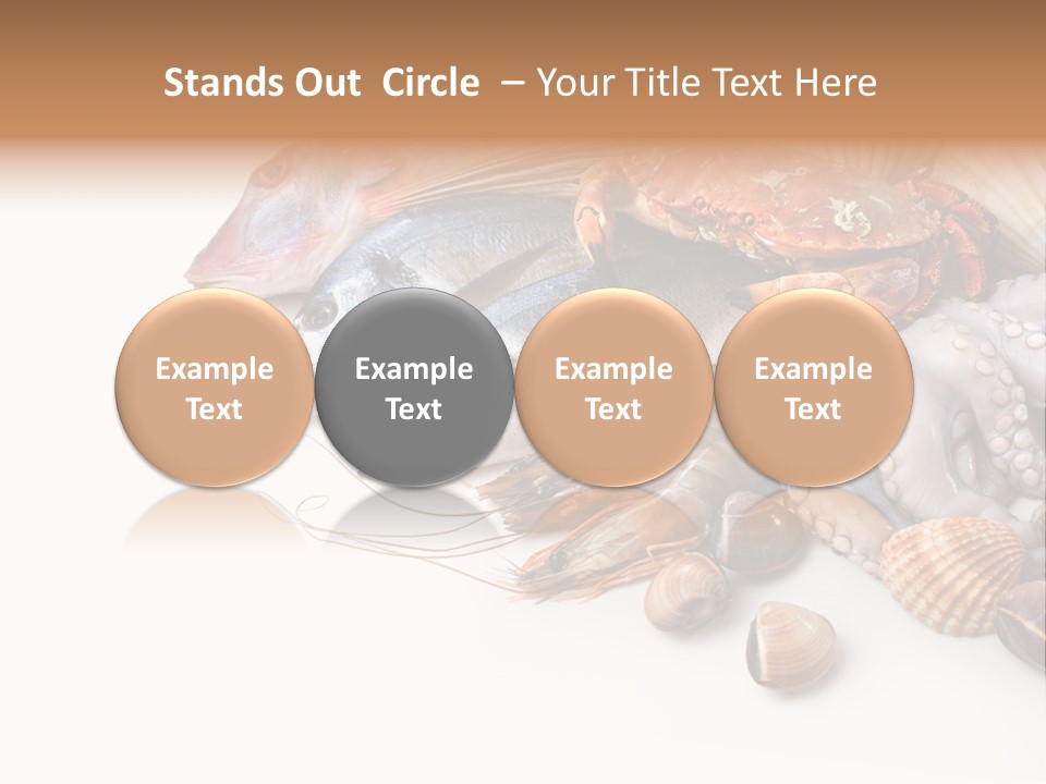 Market Moronidae Shell PowerPoint Template