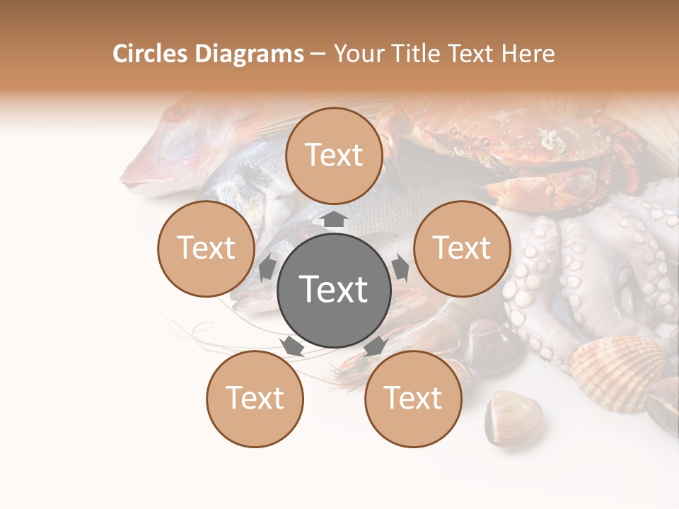 Market Moronidae Shell PowerPoint Template