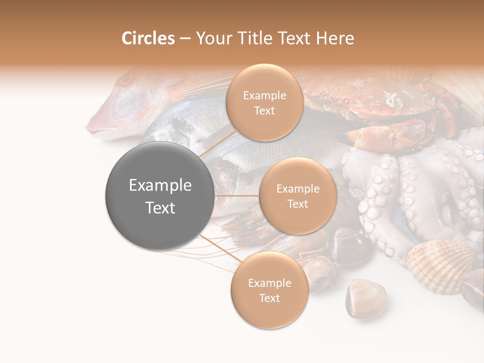 Market Moronidae Shell PowerPoint Template