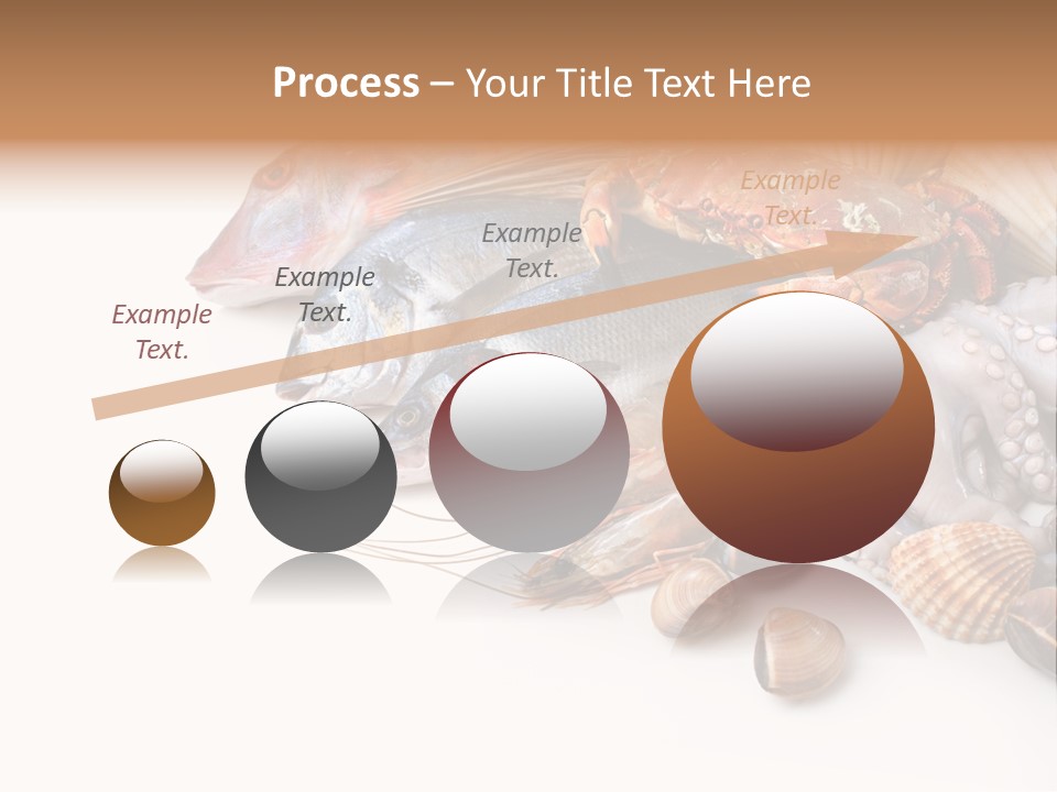 Market Moronidae Shell PowerPoint Template