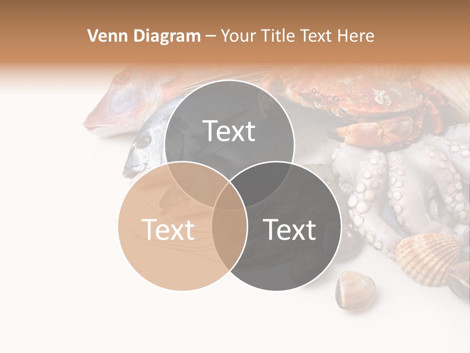 Market Moronidae Shell PowerPoint Template