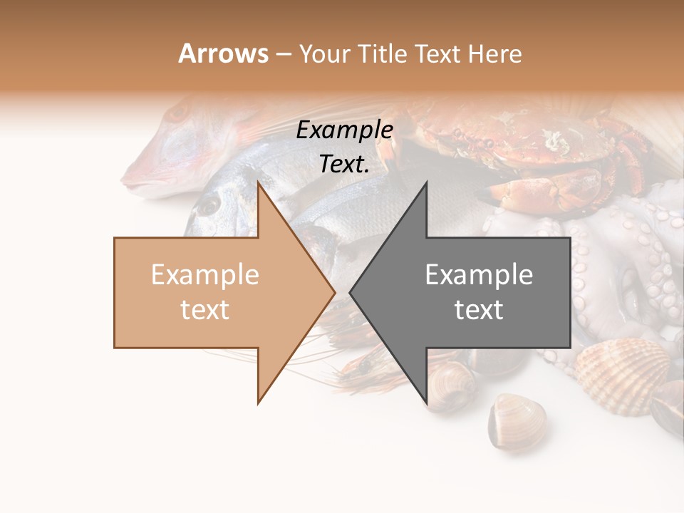 Market Moronidae Shell PowerPoint Template