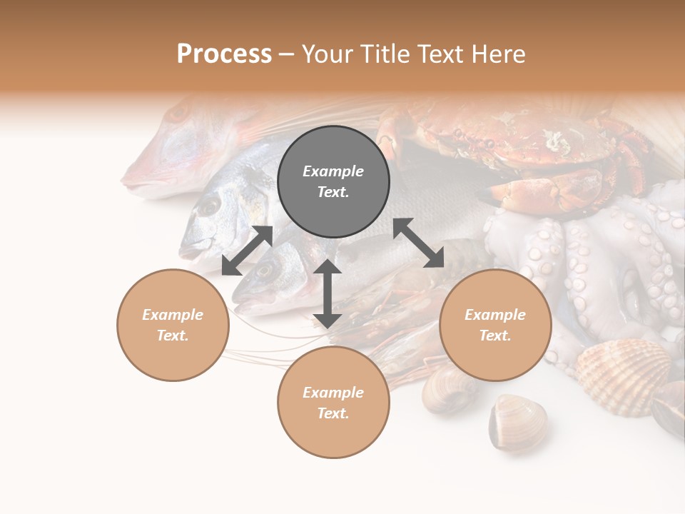 Market Moronidae Shell PowerPoint Template