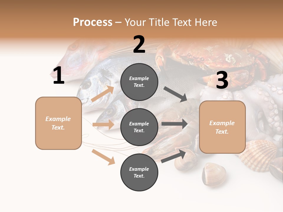 Market Moronidae Shell PowerPoint Template