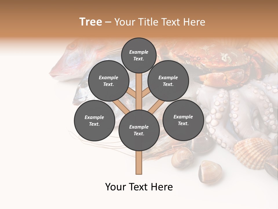 Market Moronidae Shell PowerPoint Template