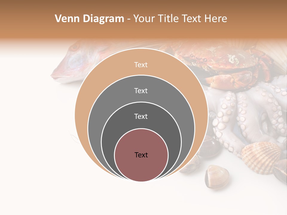 Market Moronidae Shell PowerPoint Template
