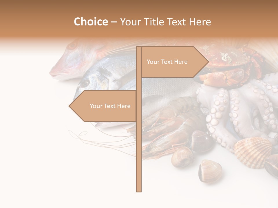 Market Moronidae Shell PowerPoint Template