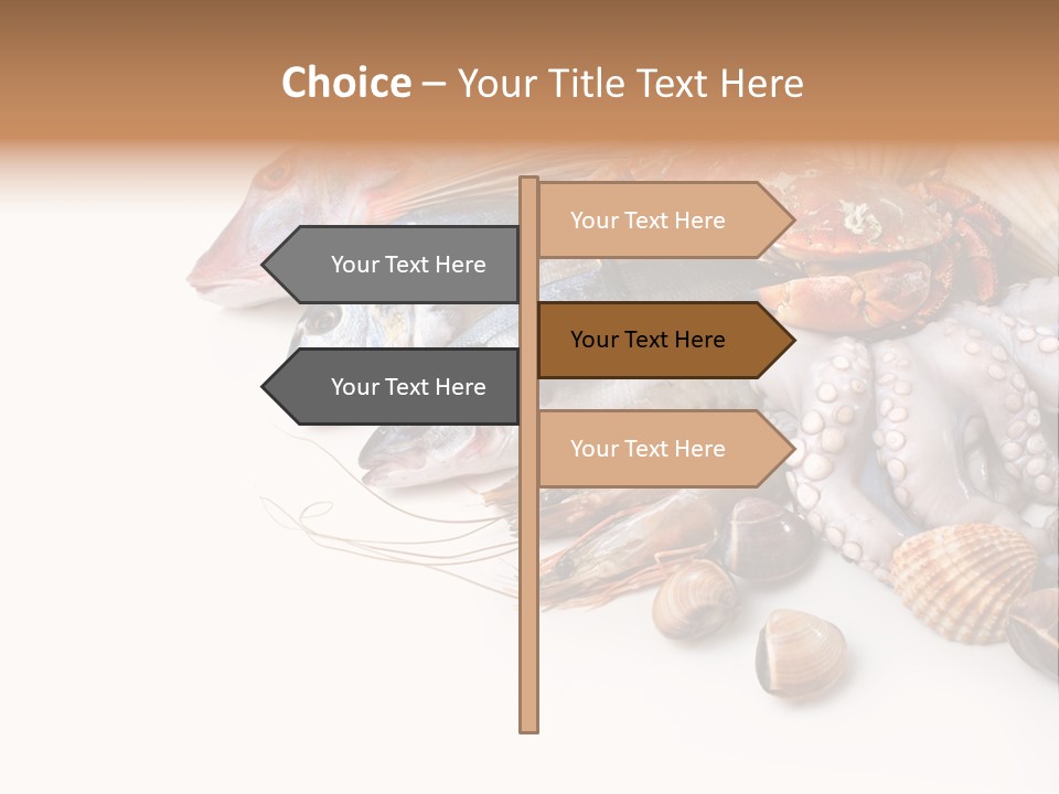 Market Moronidae Shell PowerPoint Template
