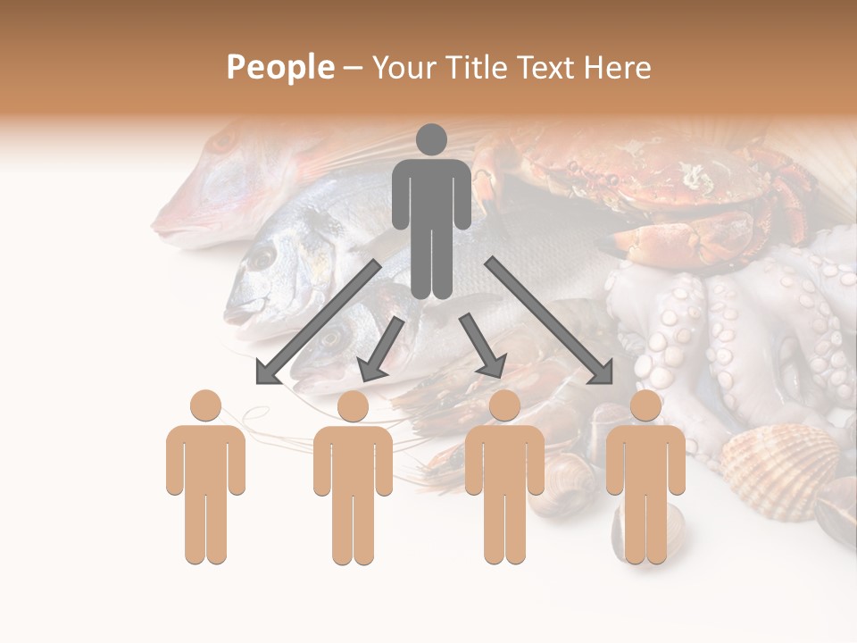 Market Moronidae Shell PowerPoint Template