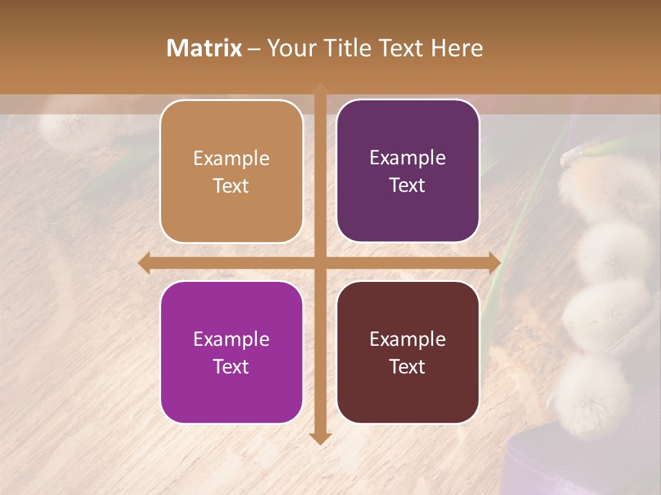 Background Pussy Design PowerPoint Template