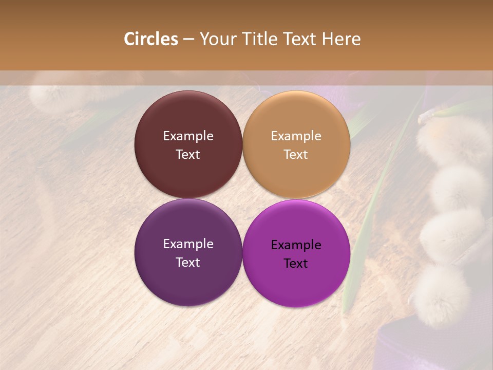 Background Pussy Design PowerPoint Template