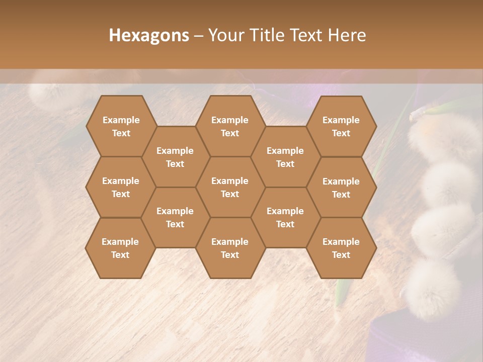 Background Pussy Design PowerPoint Template