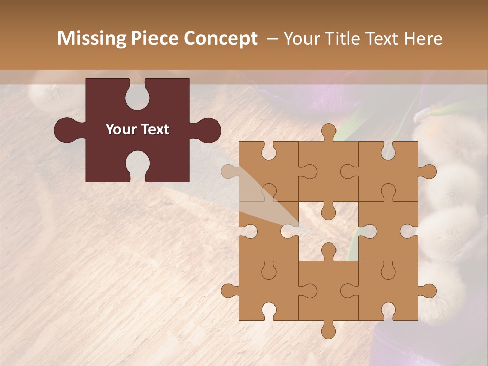 Background Pussy Design PowerPoint Template