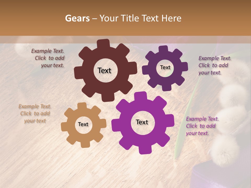 Background Pussy Design PowerPoint Template