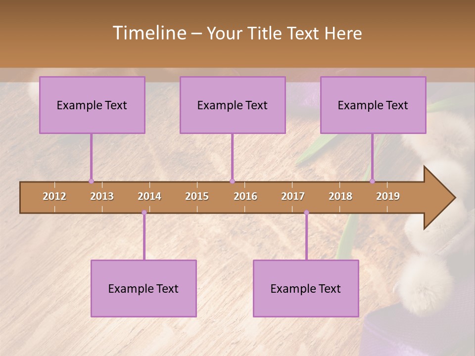 Background Pussy Design PowerPoint Template