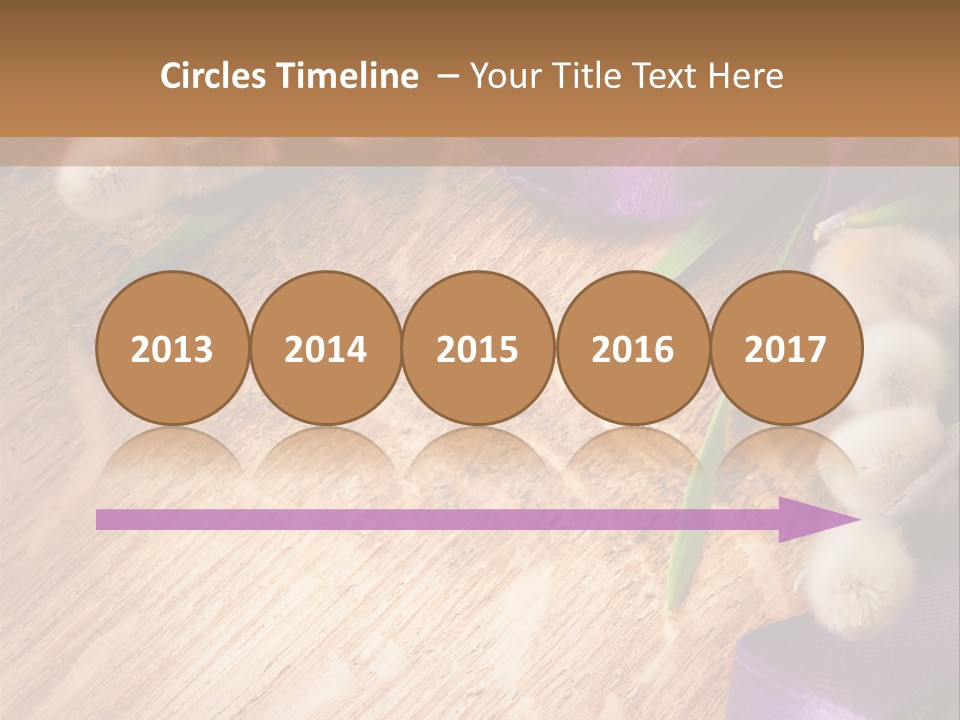 Background Pussy Design PowerPoint Template