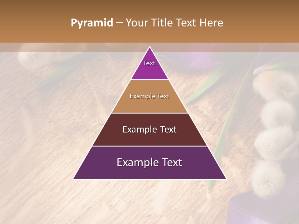 Background Pussy Design PowerPoint Template