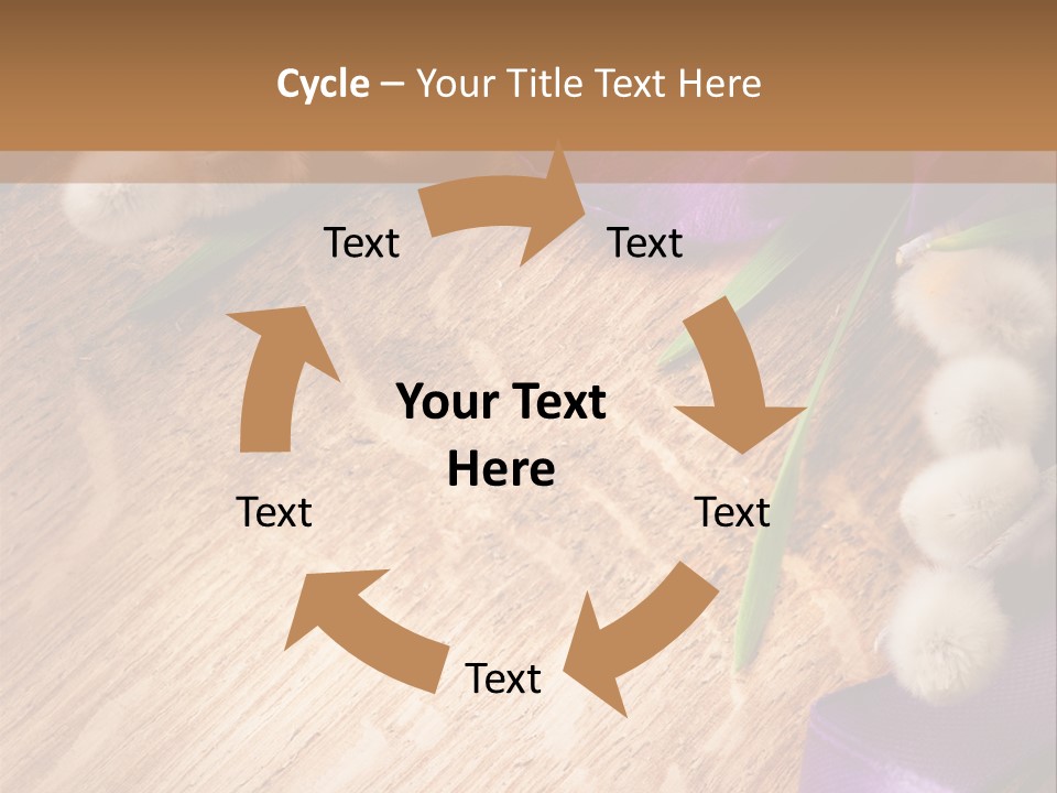 Background Pussy Design PowerPoint Template