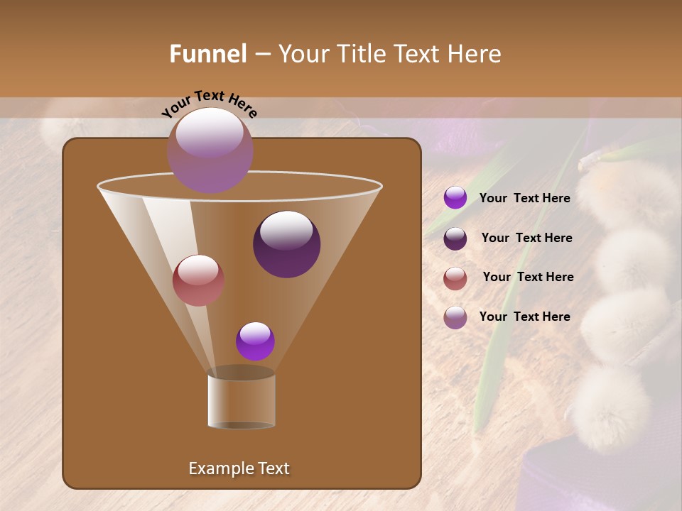 Background Pussy Design PowerPoint Template