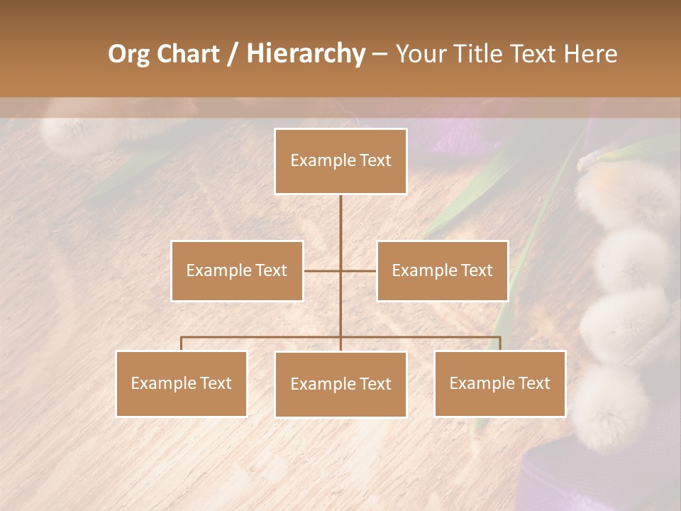 Background Pussy Design PowerPoint Template