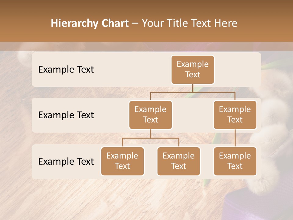 Background Pussy Design PowerPoint Template