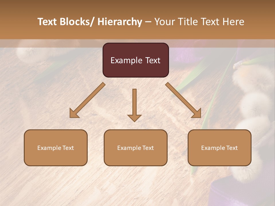 Background Pussy Design PowerPoint Template
