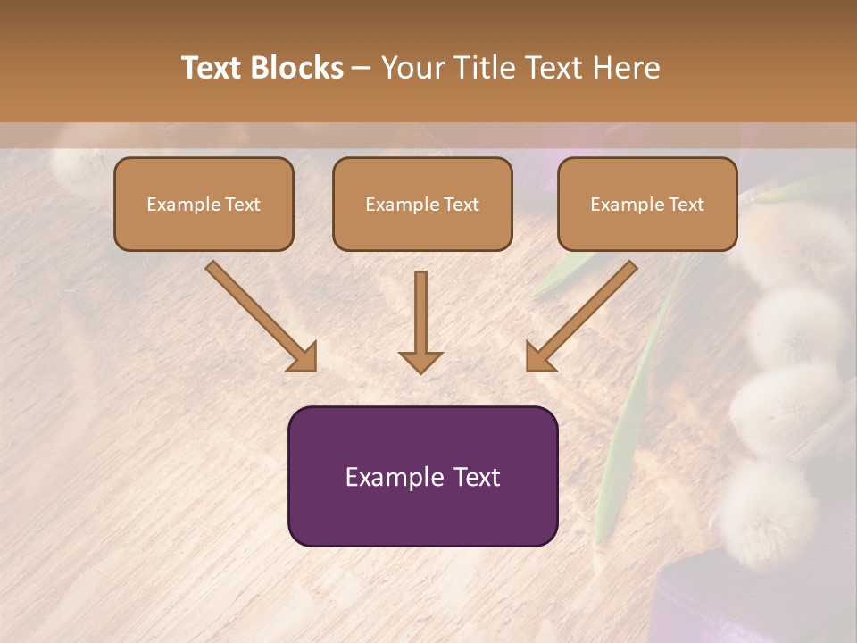 Background Pussy Design PowerPoint Template