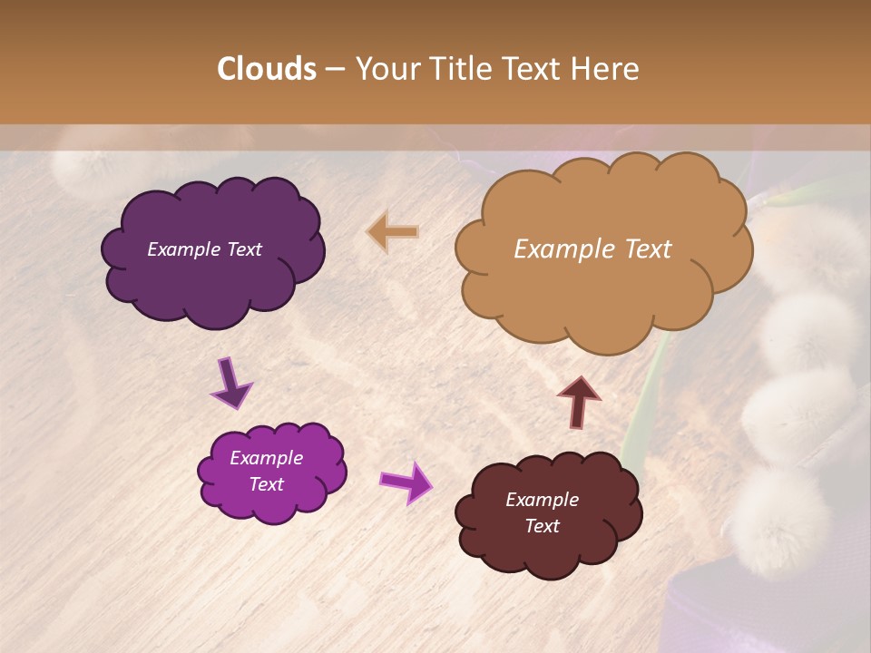 Background Pussy Design PowerPoint Template