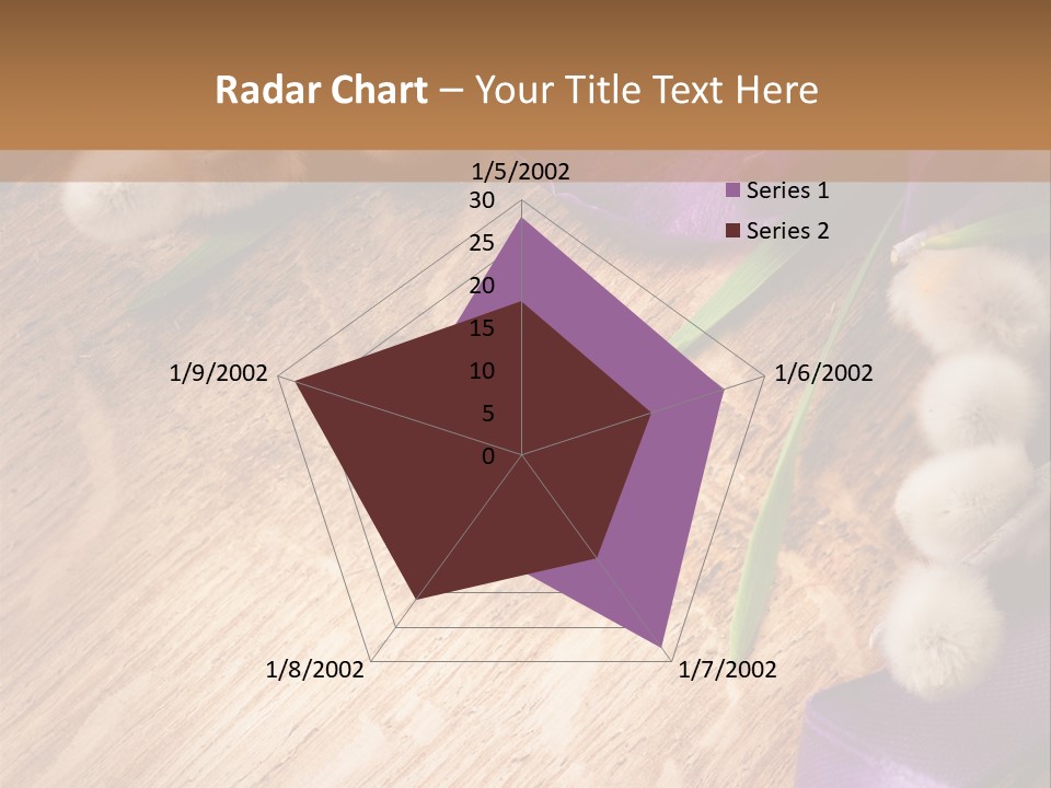 Background Pussy Design PowerPoint Template