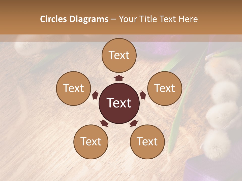 Background Pussy Design PowerPoint Template