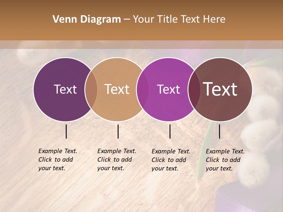 Background Pussy Design PowerPoint Template