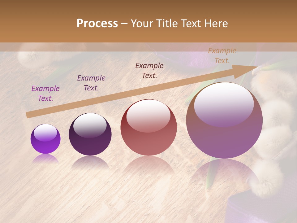 Background Pussy Design PowerPoint Template