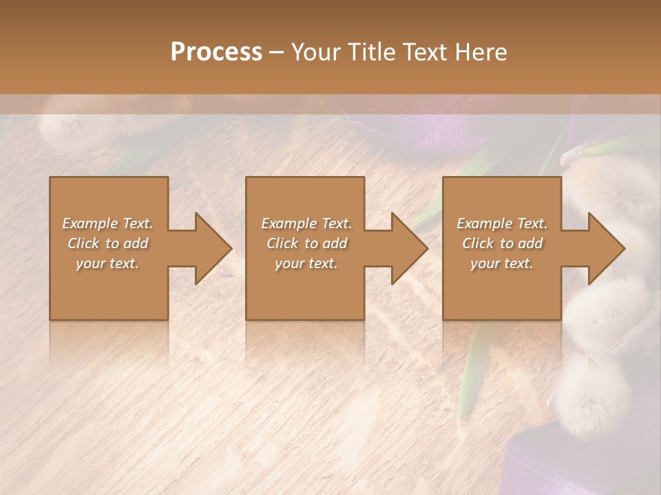 Background Pussy Design PowerPoint Template