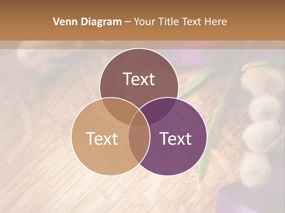 Background Pussy Design PowerPoint Template