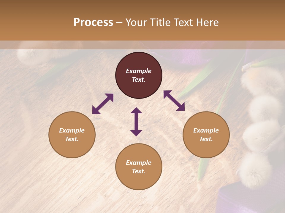 Background Pussy Design PowerPoint Template