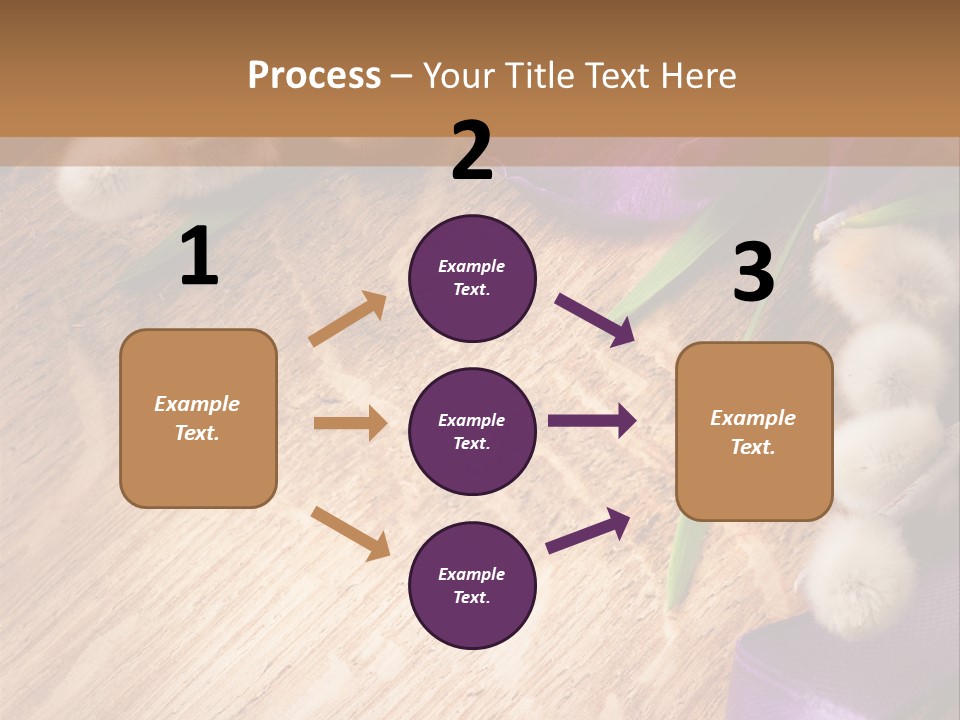 Background Pussy Design PowerPoint Template