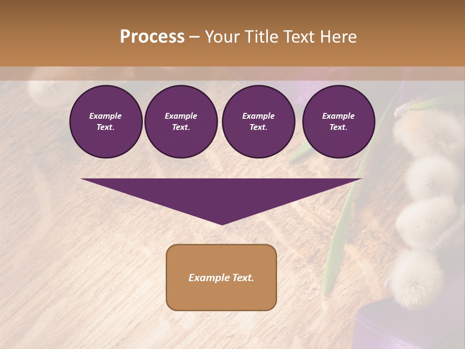 Background Pussy Design PowerPoint Template