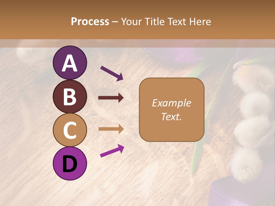 Background Pussy Design PowerPoint Template