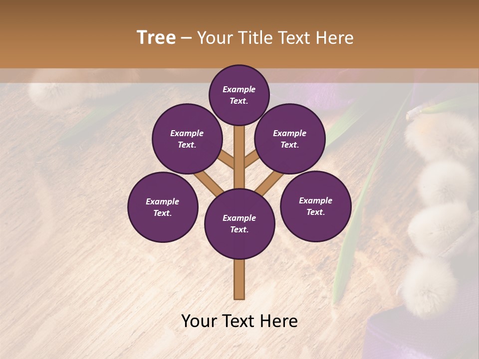 Background Pussy Design PowerPoint Template