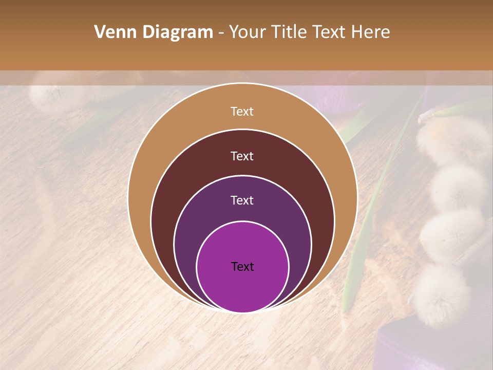 Background Pussy Design PowerPoint Template