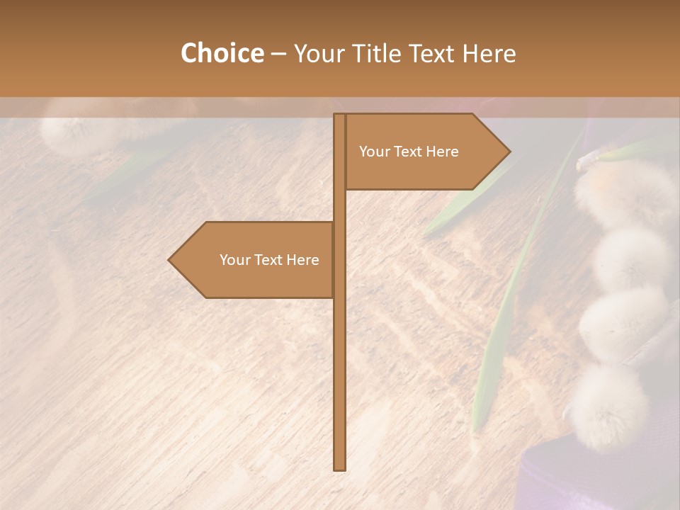 Background Pussy Design PowerPoint Template