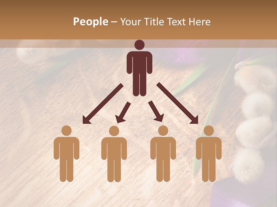 Background Pussy Design PowerPoint Template