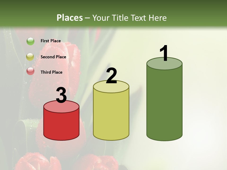 Management Group Corporation PowerPoint Template