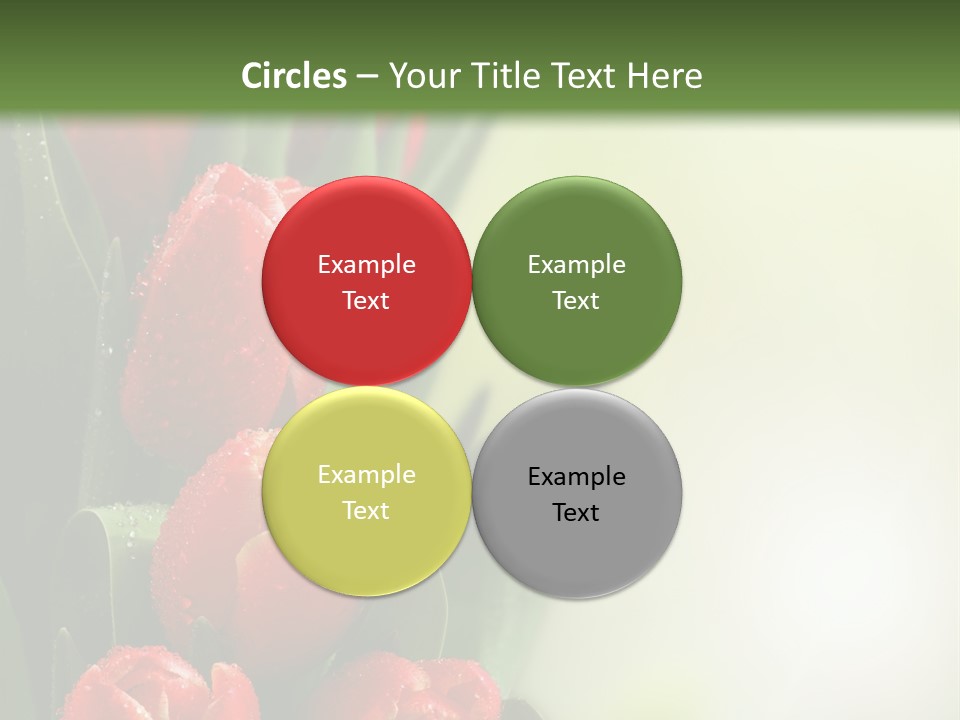 Management Group Corporation PowerPoint Template