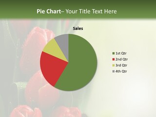 Management Group Corporation PowerPoint Template