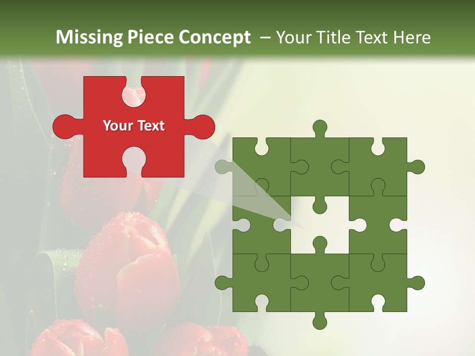 Management Group Corporation PowerPoint Template