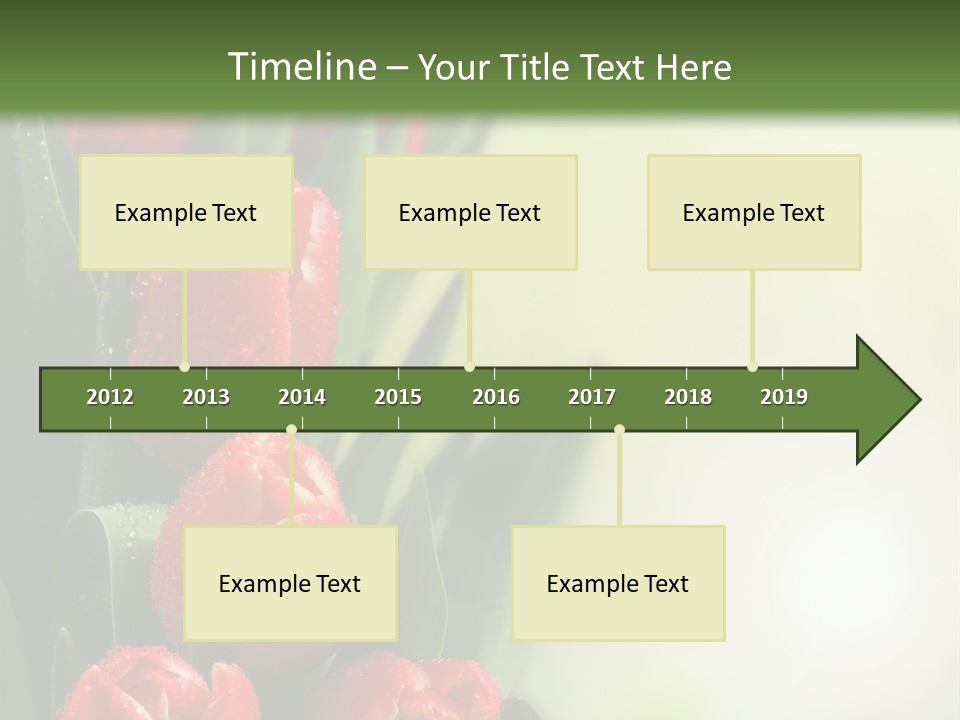 Management Group Corporation PowerPoint Template