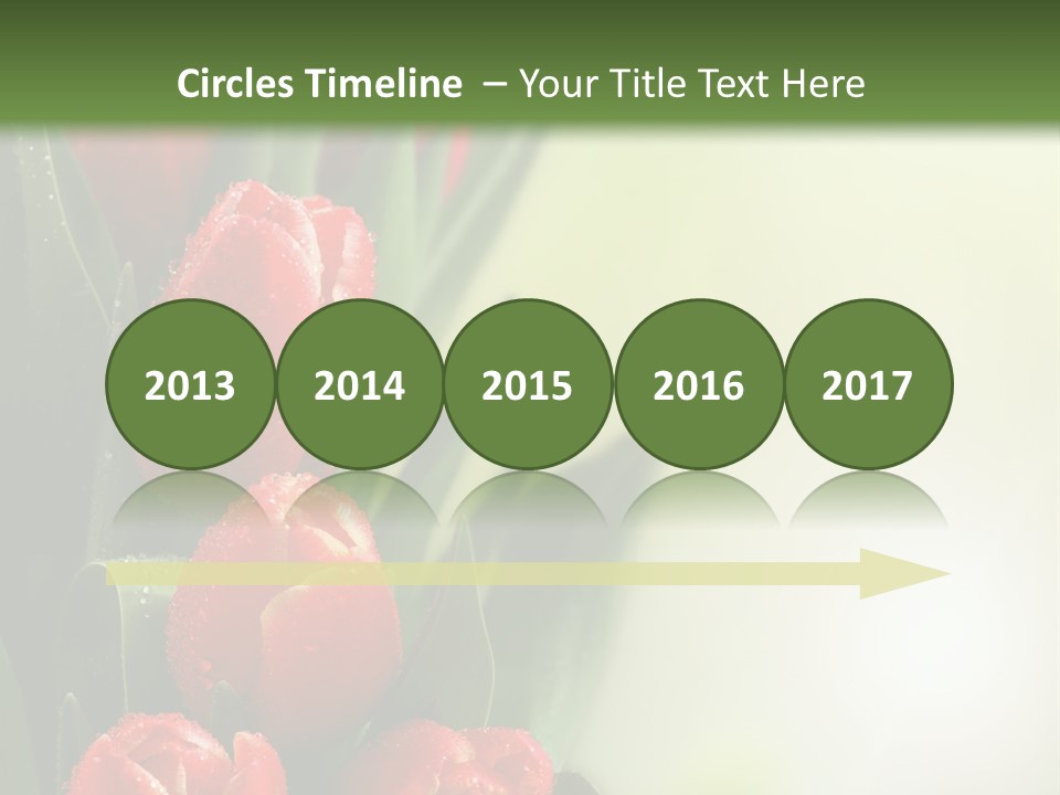 Management Group Corporation PowerPoint Template