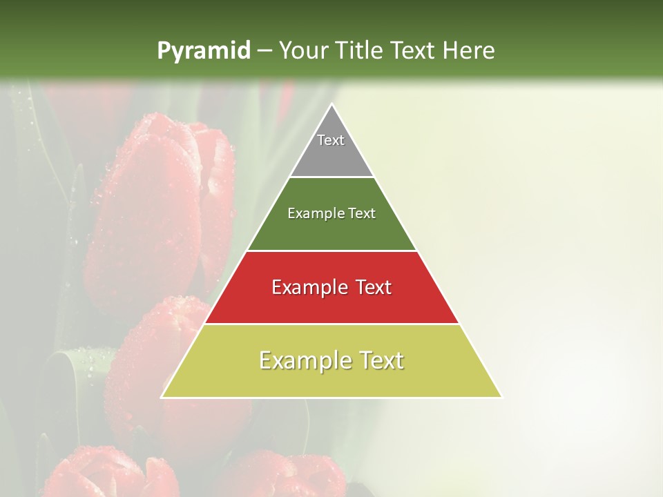 Management Group Corporation PowerPoint Template